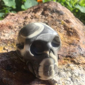 Shell jasper skull grey and white natural jasper