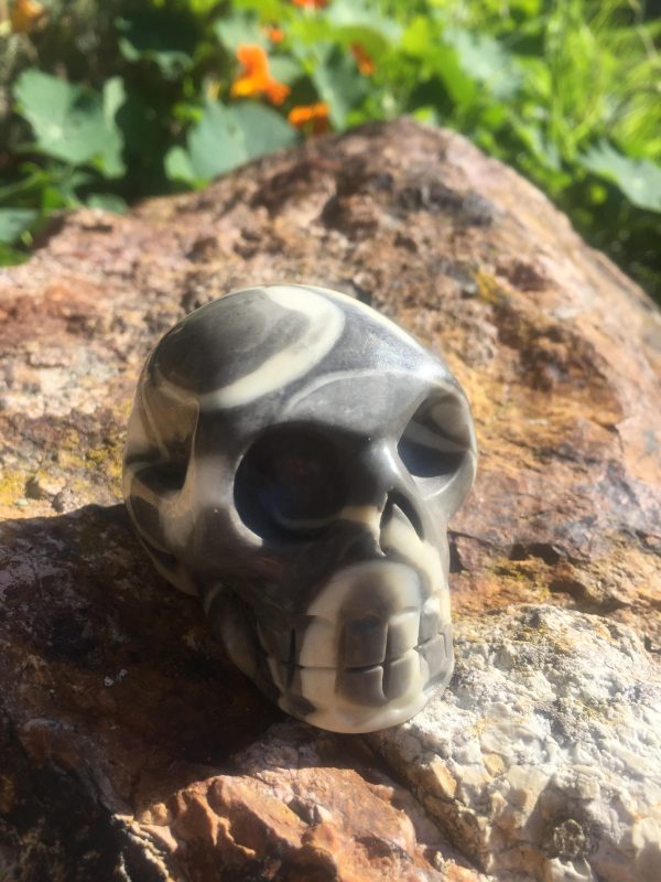 Shell jasper skull grey and white natural jasper