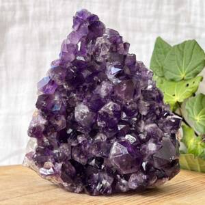 Uruguay amethyst cluster, displays flat and upright