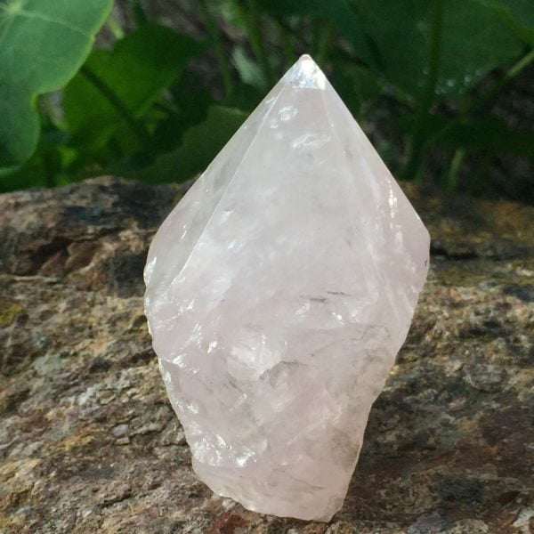 Rose quartz - part polished - Image 2