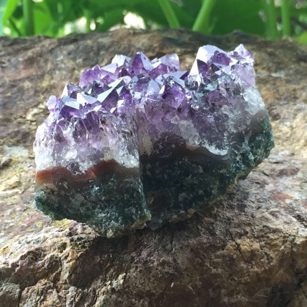 Amethyst cluster