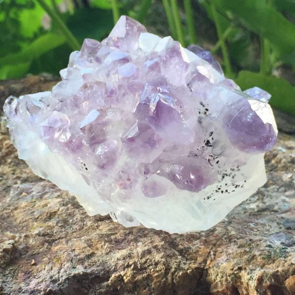 Amethyst on calcite - Image 6