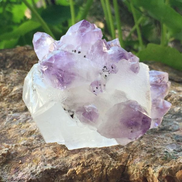 Amethyst on calcite - Image 5