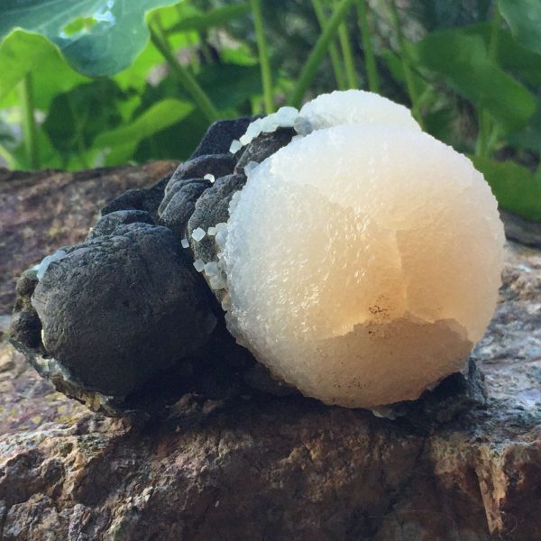 Calcite on black agate - Image 2
