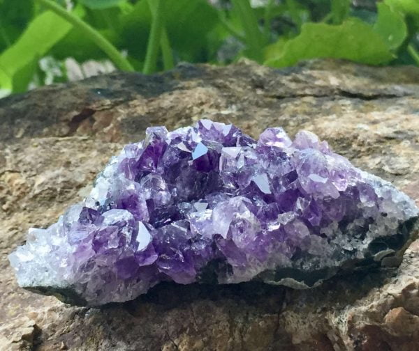 Amethyst cluster