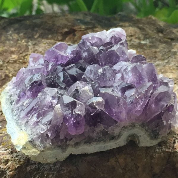 Amethyst cluster