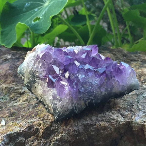 Amethyst cluster - Image 5