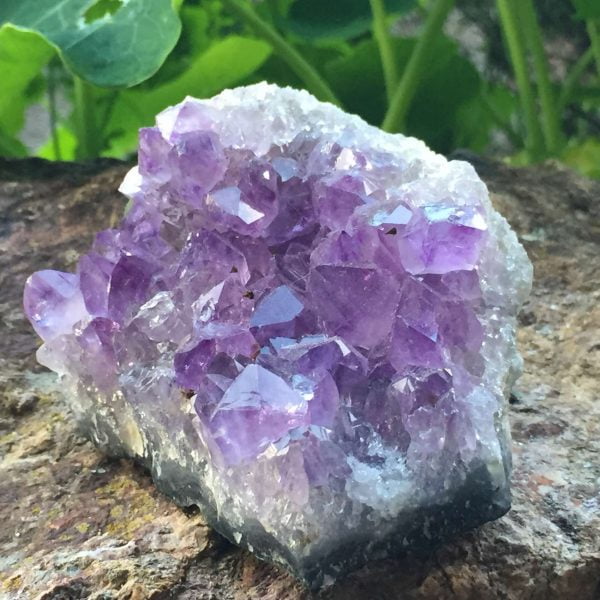 Amethyst cluster - Image 4