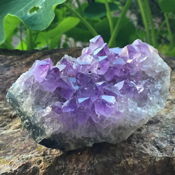 Amethyst cluster - Image 3