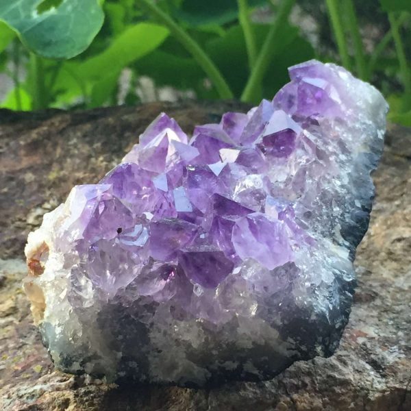 Amethyst cluster
