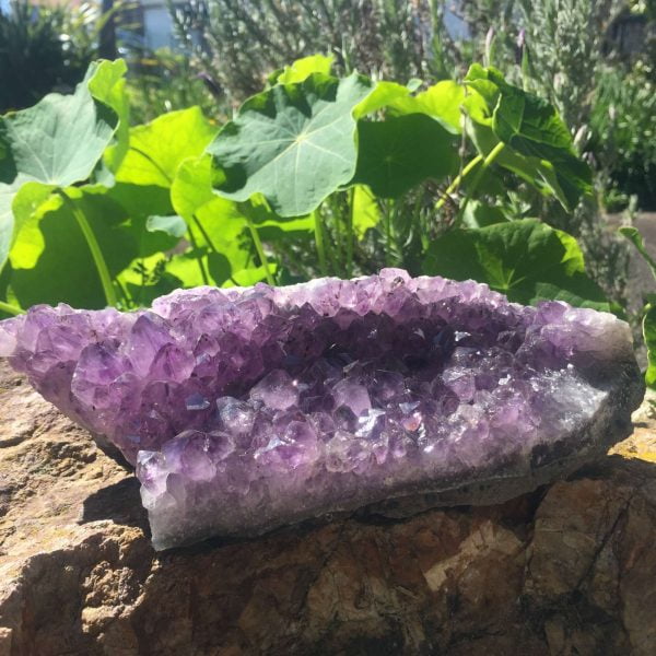 Amethyst cluster