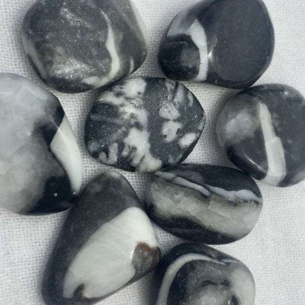 Shell jasper