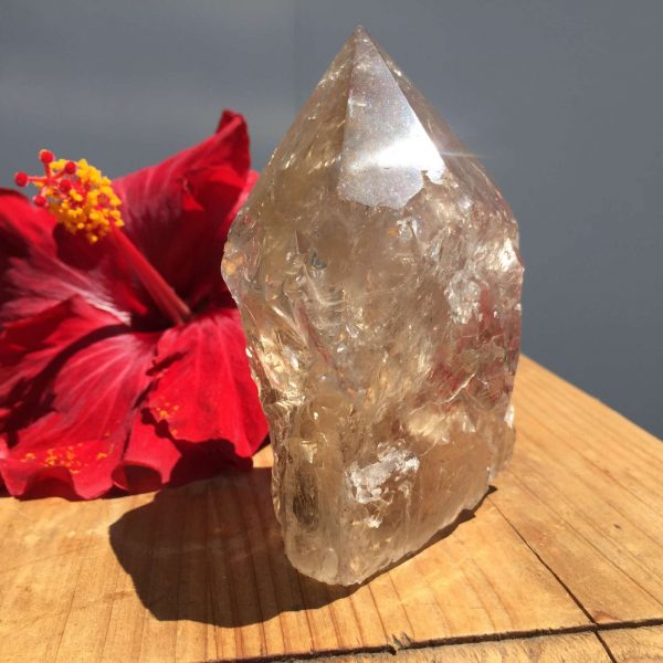 Smokey quartz - part polished - Image 6