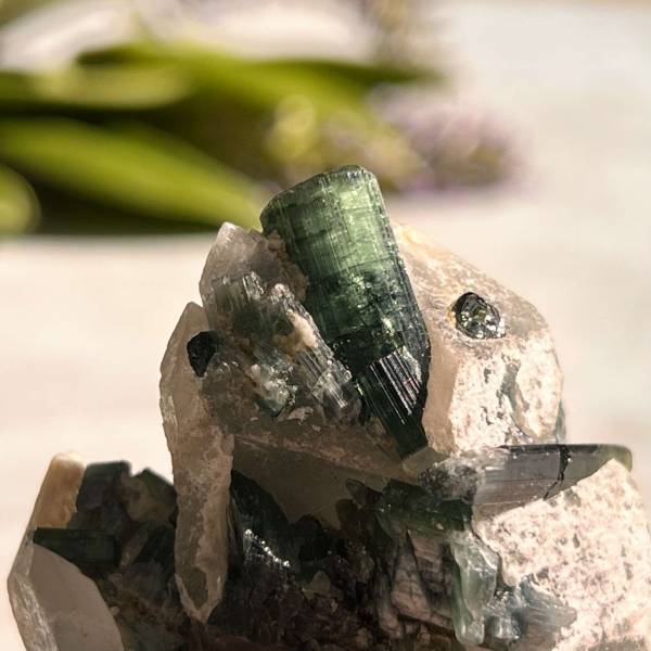 Green tourmaline in quartz