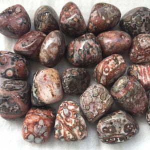 leopardskin jasper tumblestones