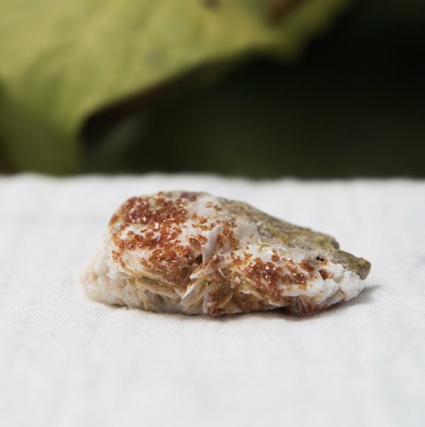 Vanadinite on gypsum