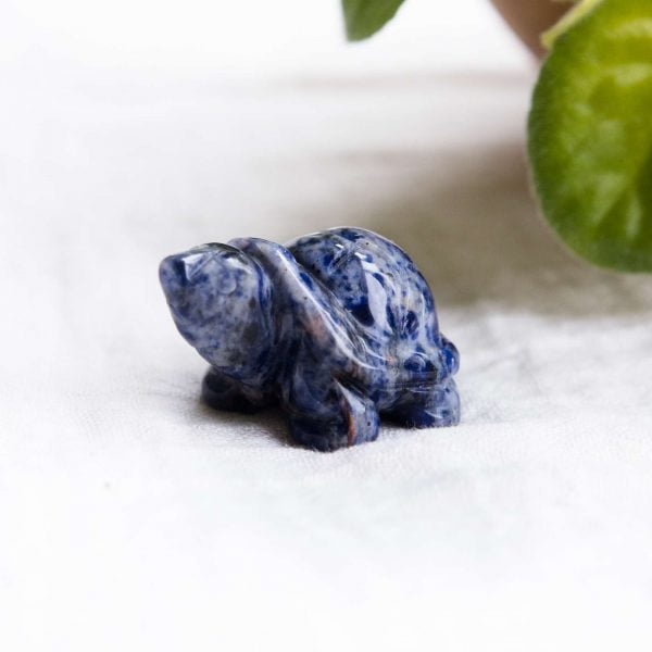 Sodalite turtle