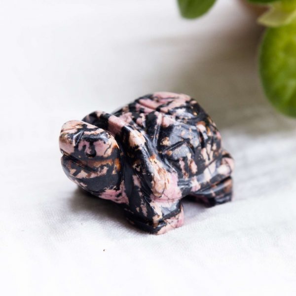 Rhodonite turtle