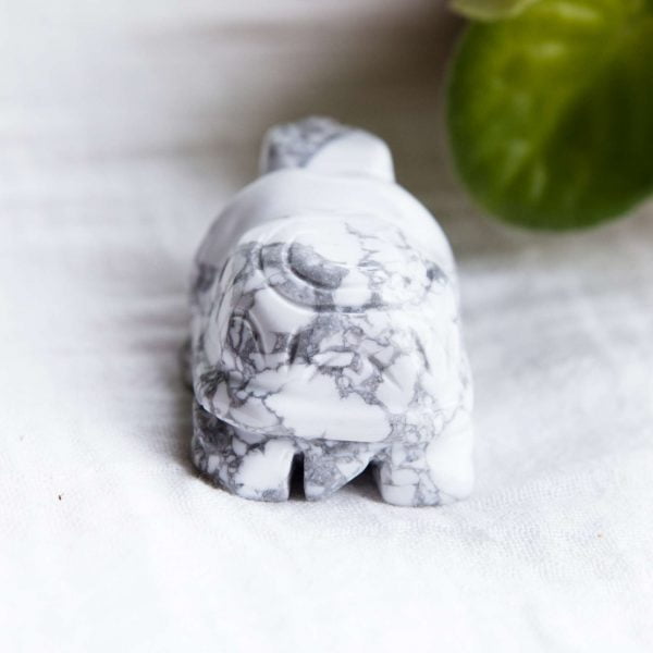 Howlite turtle - Image 3