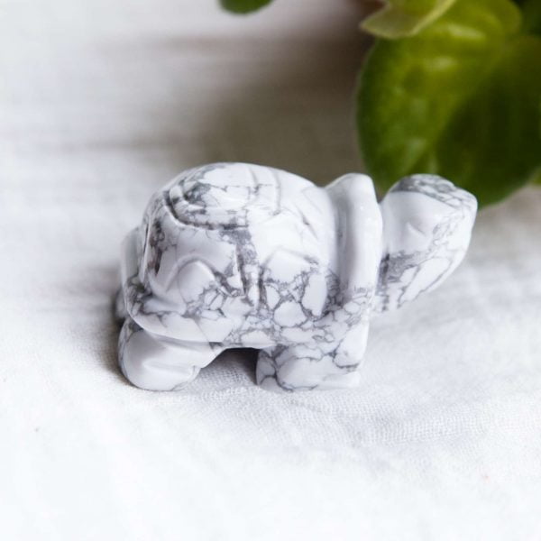 Howlite turtle