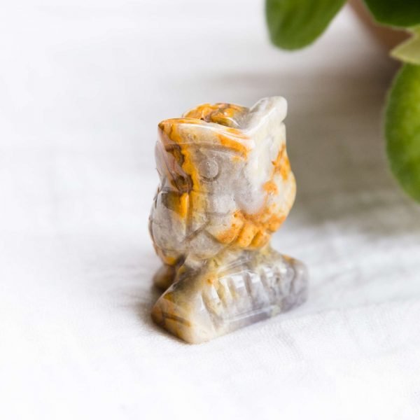 Jasper owl - Image 2