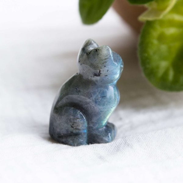Labradorite cat - Image 2