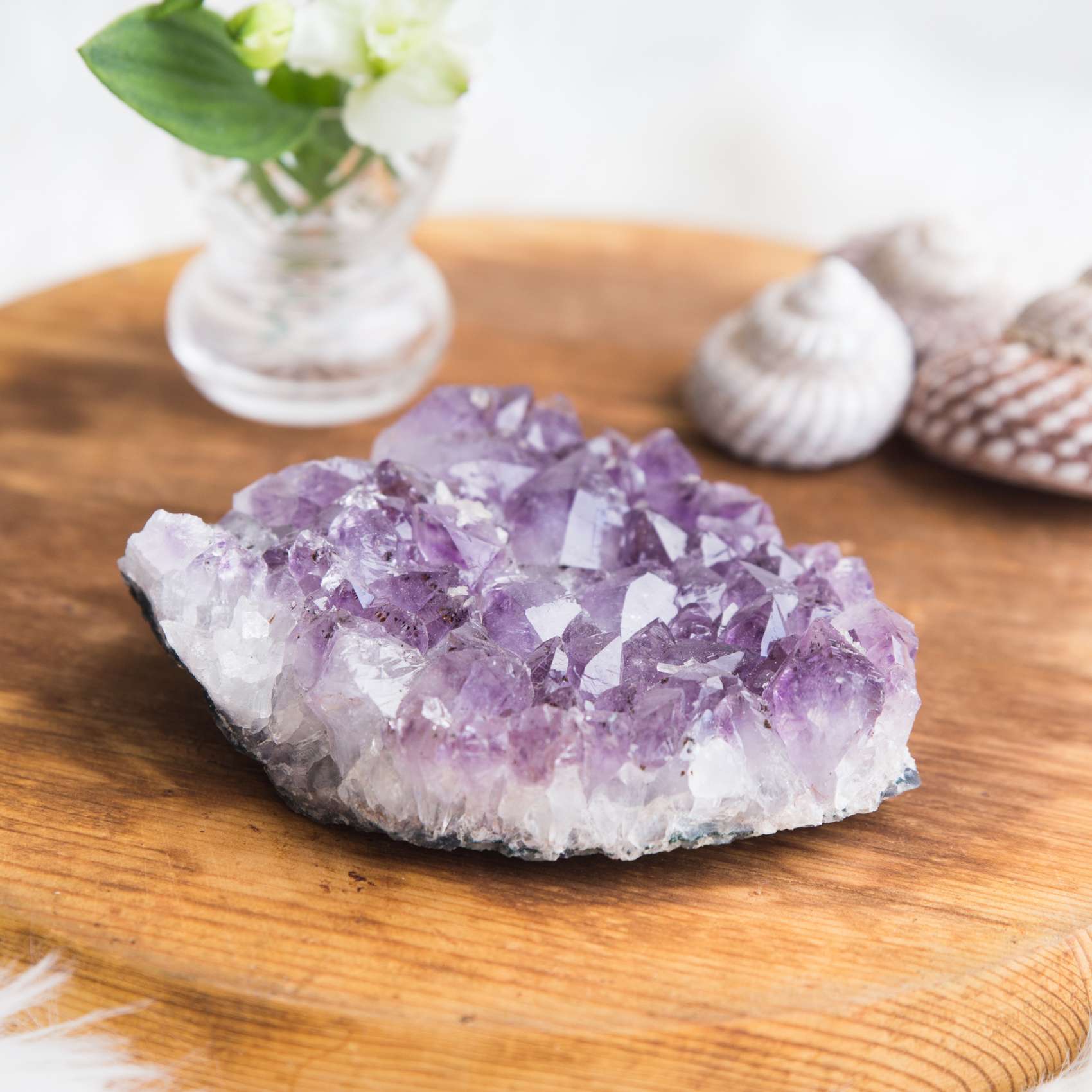 Amethyst cluster
