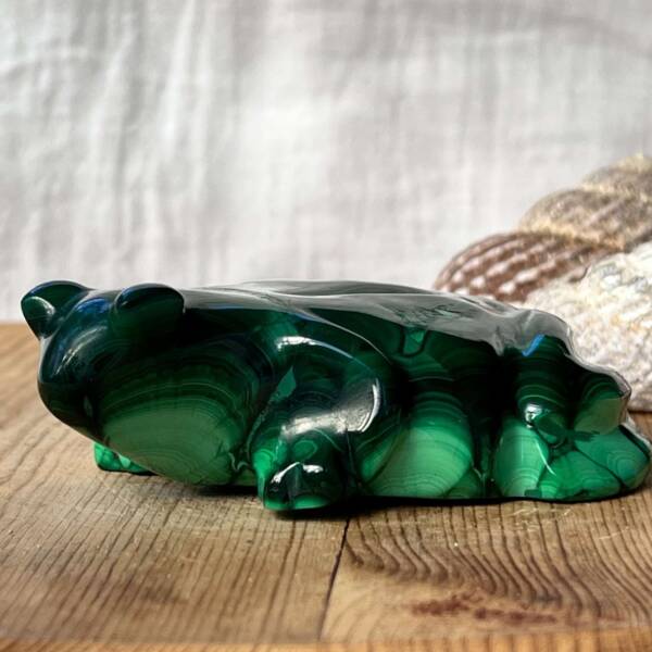Malachite frog - Image 8