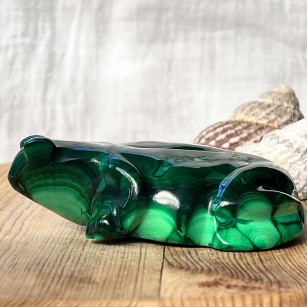 Malachite frog - Image 7