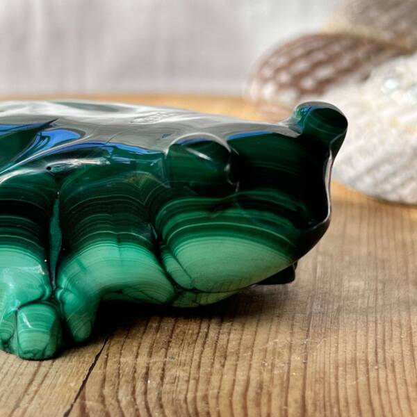 Malachite frog - Image 3