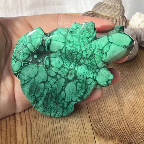 Malachite frog - Image 2