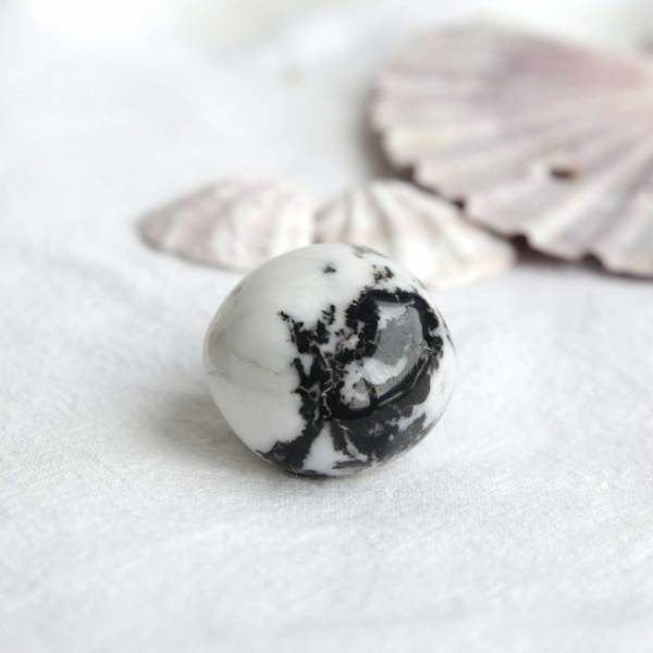 Zebra jasper - Image 4
