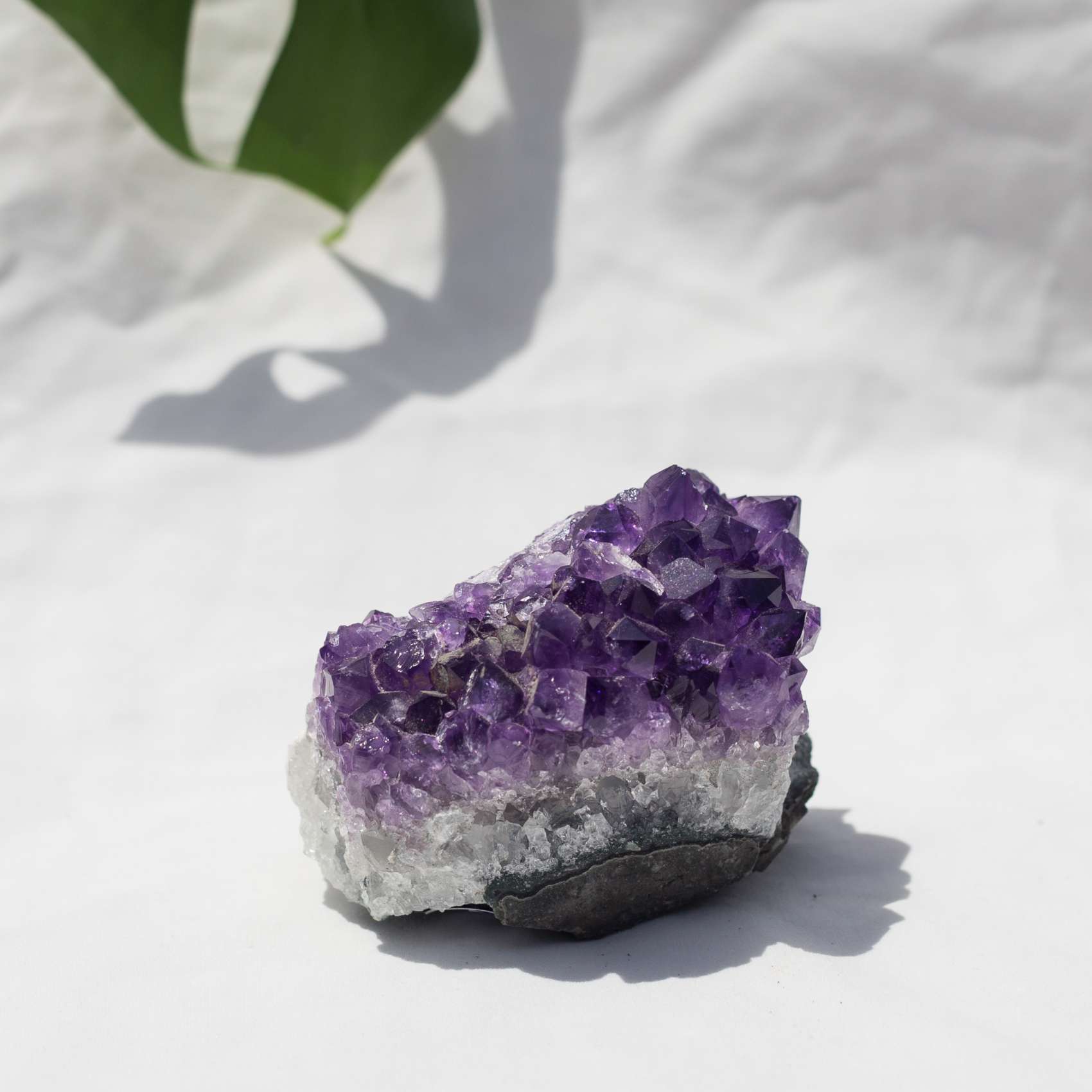 Amethyst cluster