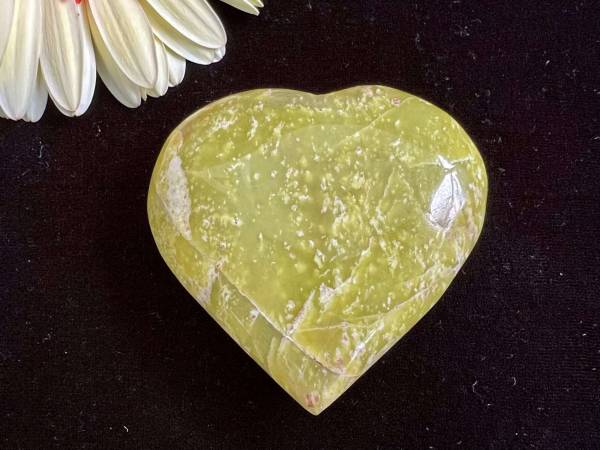 Serpentine heart