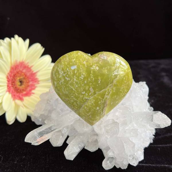 Serpentine heart - Image 2