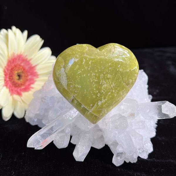 Serpentine heart - Image 4
