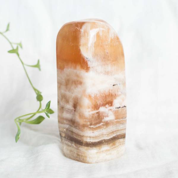 Honey calcite freeform - Image 2