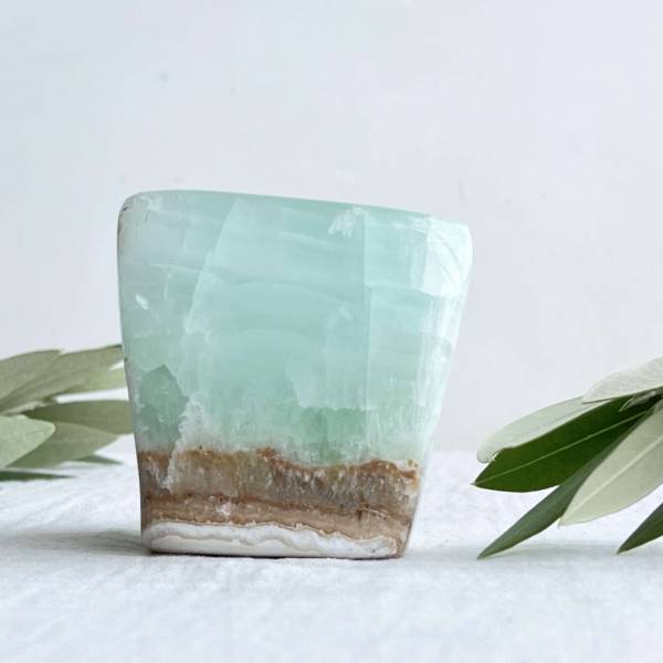 Caribbean calcite freeform