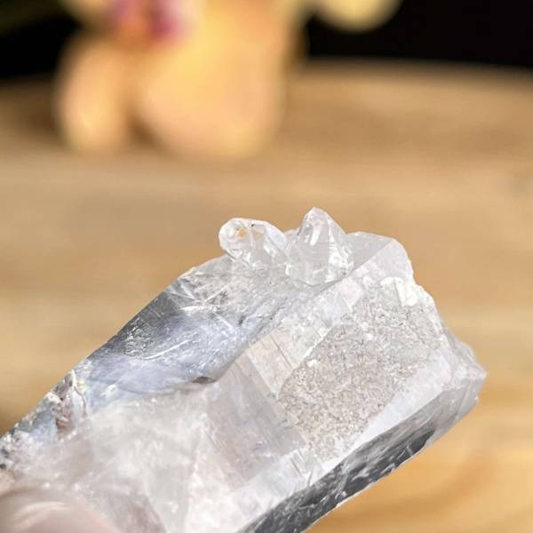 Lemurian quartz point - Image 2