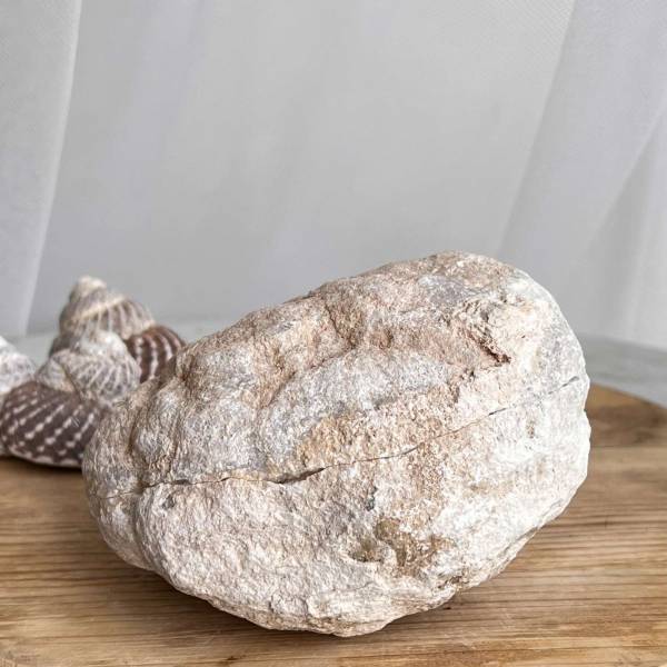Quartz geode - Image 2