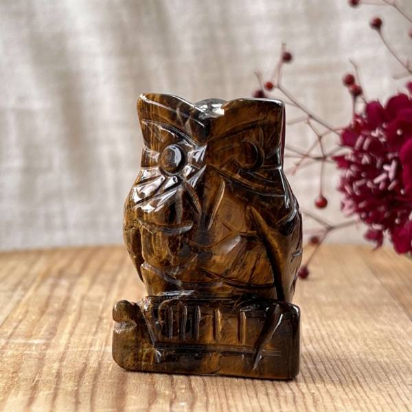 Golden tiger eye owl