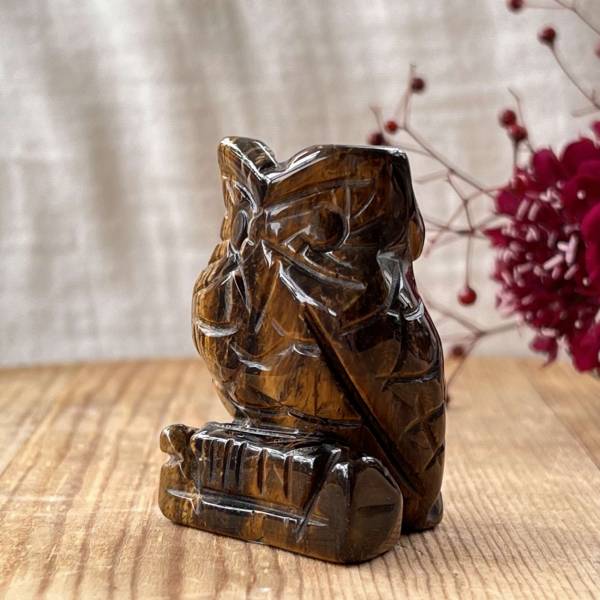 Golden tiger eye owl - Image 3