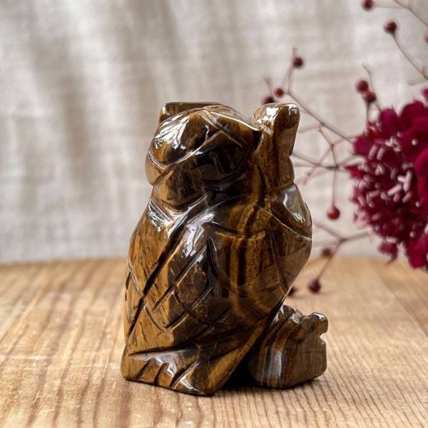 Golden tiger eye owl - Image 4