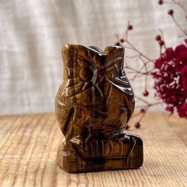 Golden tiger eye owl - Image 5