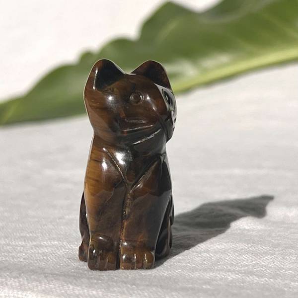 Golden tiger eye cat - Image 4