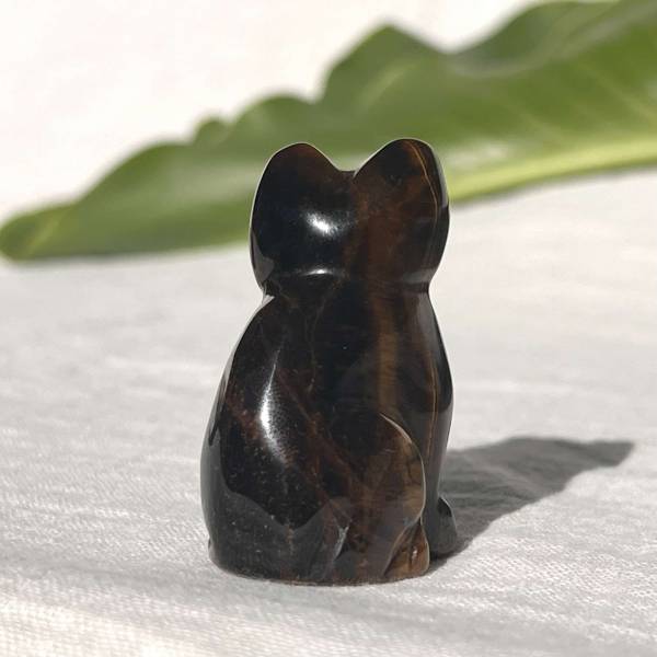 Golden tiger eye cat - Image 3