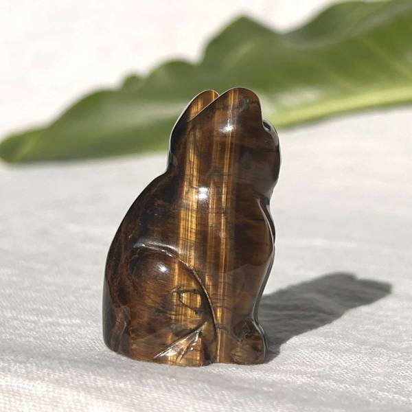 Golden tiger eye cat - Image 2
