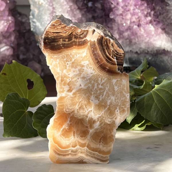 Chocolate calcite - part polished - Image 3