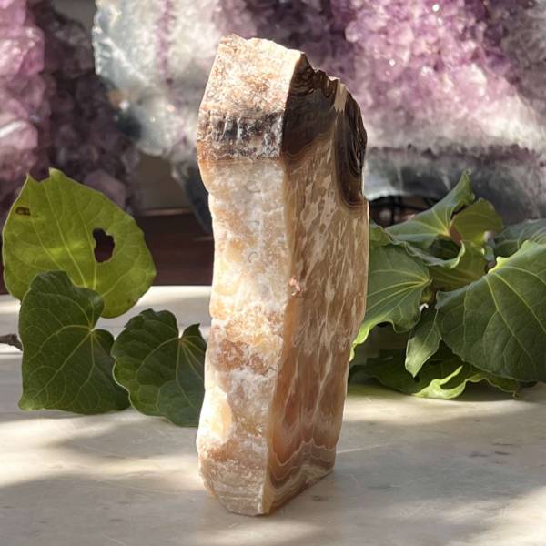 Chocolate calcite - part polished - Image 4