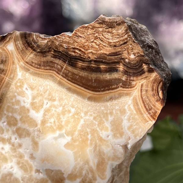 Chocolate calcite - part polished - Image 2